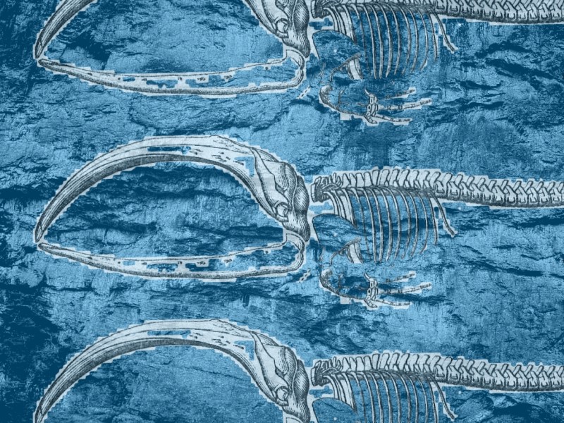 Mike Marlin unveils new single, Whale&nbsp;Hill